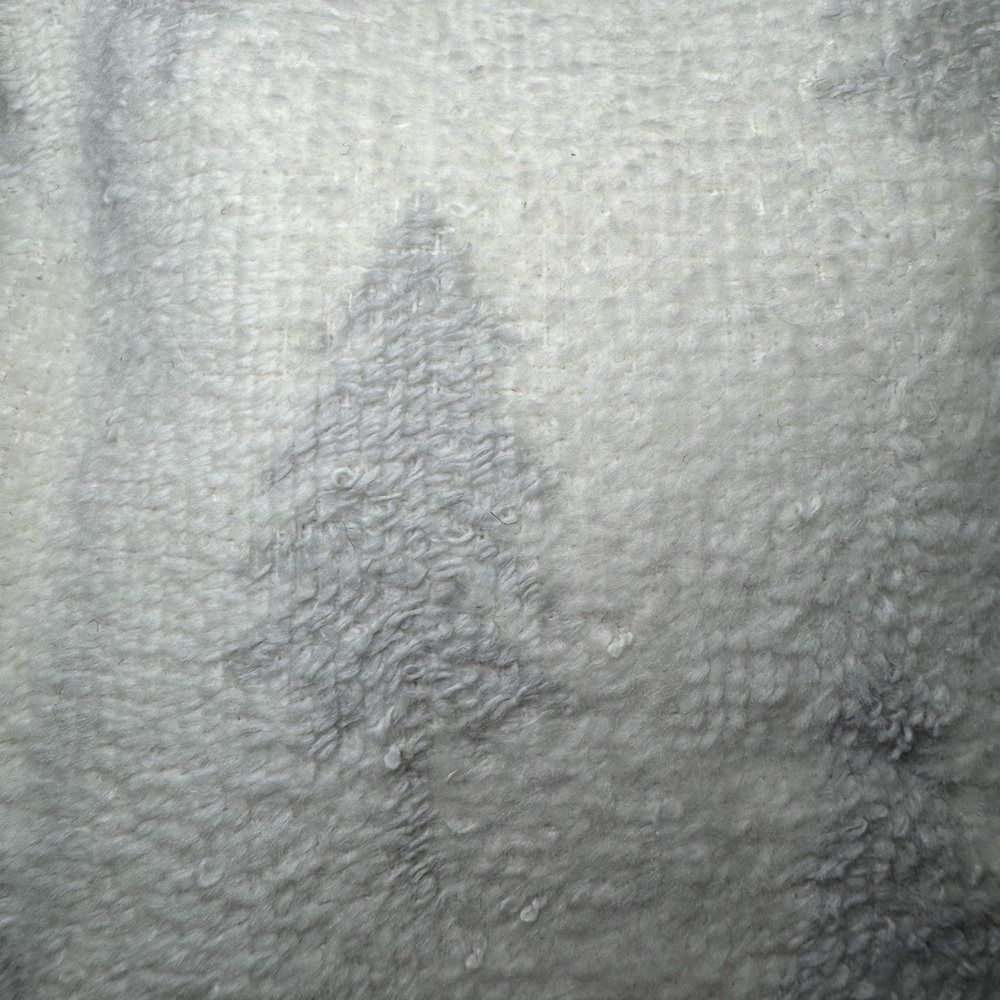 Target Wondershop 2 pk Scattered Trees Hand Towels
Gray/White - Picture 5 of 7